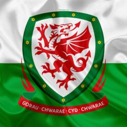 Download wallpapers Wales national football team, emblem, logo