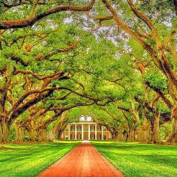 Oak Alley Plantation Louisiana HDR Wallpapers free desktop