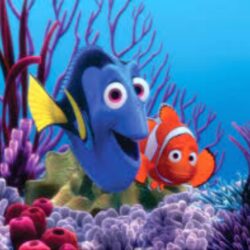 Finding Dory 2016 wallpapers – wallpapers free download