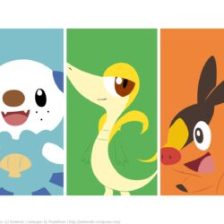 Pokemon gen 5 starters wallpaper.
