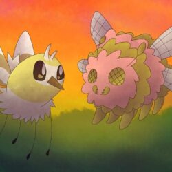 Cutiefly and Zufly