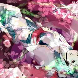 Natsume Yuujinchou Обои ~Natsume Yuujinchou~ HD Обои and backgrounds