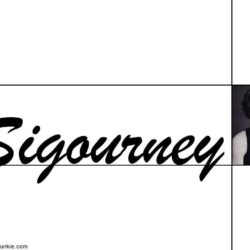 Sigourney Weaver Wallpapers