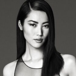 Chinese Liu Wen