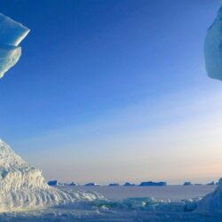 7 facts about Antarctica that will leave you craving for more
