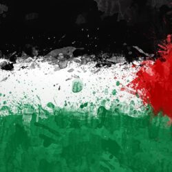 Palestine Flag Wallpapers