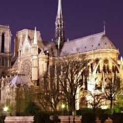 17056 notre dame cathedral wallpapers