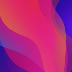Download Oppo Find X Stock Wallpapers