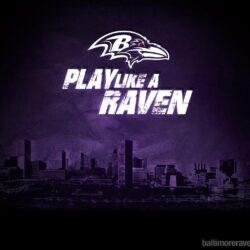 79 baltimore ravens wallpapers Pictures