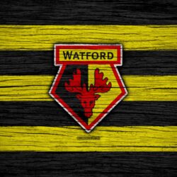 Download wallpapers Watford, 4k, Premier League, logo, England