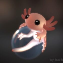 Axolotl Wallpapers 20279