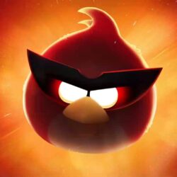 Angry Birds HQ wallpapers