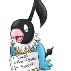 Chatot Shaming by DiRosso