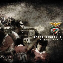 Champions Benfica Wallpapers 2013 Wallpapers
