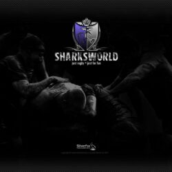 Sharksworld » Blog Archive » New Sharksworld wallpapers