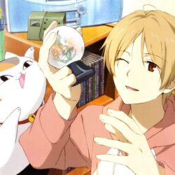 Widescreen Wallpaper: natsume yuujinchou