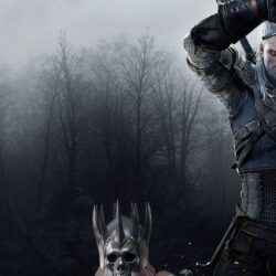 The Witcher 3: Wild Hunt HD Wallpapers 17