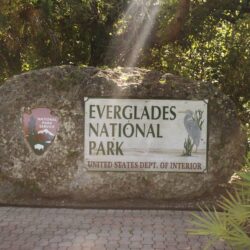Exploring Everglades National Park in Miami