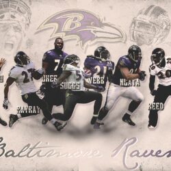 79 baltimore ravens wallpapers Pictures
