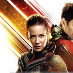 Ant Man And Wasp Latest Wallpapers