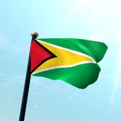 Guyana Flag 3D Free for Android