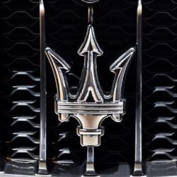 maserati logo wallpapers pictures