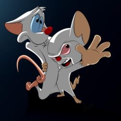 Pinky And The Brain Wallpapers 15