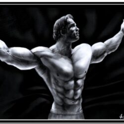 Arnold Schwarzenegger Wallpapers 0.02 Mb