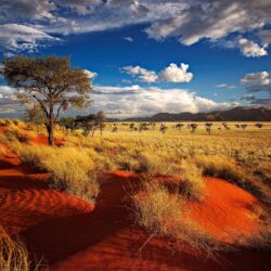 px Widescreen wallpapers of Namibia 9