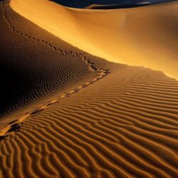 Desert Tag wallpapers: Desert Namibia Namib Africa Sahara Picture