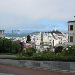 a view from lombard street road california