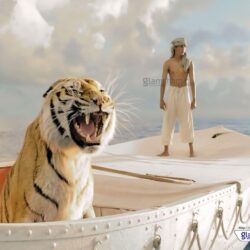 Life of Pi movie wallpapers 43753