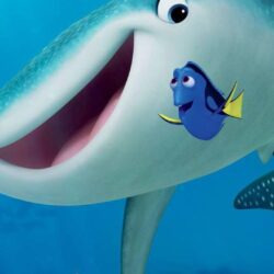 Finding Dory iphone wallpapers