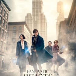 Fantastic Beasts and Where to Find Them 3 Movie Wallpapers
