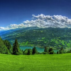 Download Meadow HD Wallpapers for Free, BsnSCB