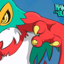 POKÉMON RUBÍ OMEGA & ZAFIRO ALFA~TEAM SUBS VS THE WORLD: ¡HAWLUCHA