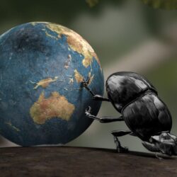 Earth, Insect, CGI, Dung Beetle, Crabs Wallpapers HD