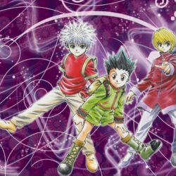 111 Hunter x Hunter HD Wallpapers