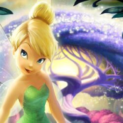 Tinkerbell Wallpaper, Walt Disney, fairytale, magic, tree
