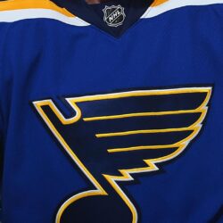 Super High Quality St Louis Blues Backgrounds Wallpapers for Free