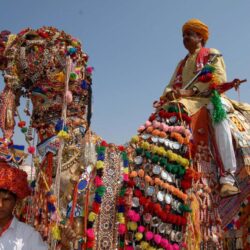Rajasthan Fairs and Festivals