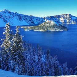Image USA Crater Lake National Park Nature Spruce Winter Snow Parks