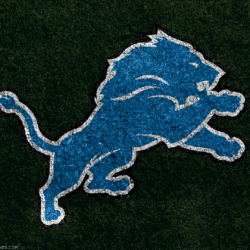 Detroit Lions Image Download Free