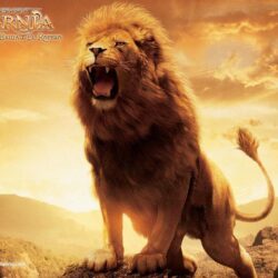 The Great Aslan the Lion from The Chronicles of Narnia Desktop