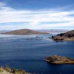 Birds. Lake Titicaca Bolivia HD wallpapers wallpapers free download