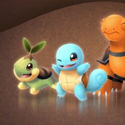 Torkoal, Squirtle, Turtwig