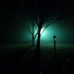 Foggy Night [] : wallpapers