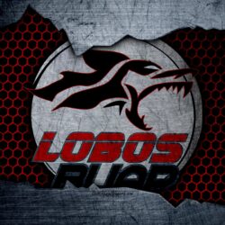 Download wallpapers Lobos BUAP, 4k, logo, Liga MX, soccer, Primera