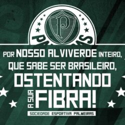 Palmeiras "Nosso Alviverde Inteiro"