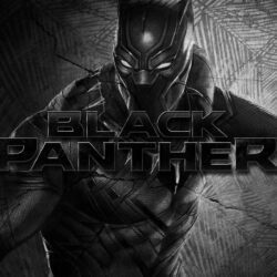 Collection of Black Panther Marvel Wallpapers on HDWallpapers